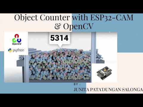 Object Counting System
