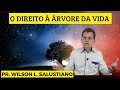 O Direito à Árvore da Vida - Pr. Wilson Salustiano