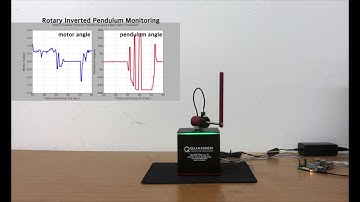 Rotary Inverted Pendulum System Using Reinforcement Learning