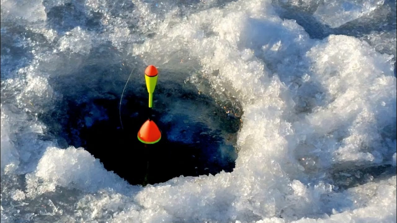 V308 Meine Bilder des Monats Februar 2026 Neubrandenburg