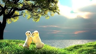 1 HOUR Energitic Morning Walk Music | Calm Music | Latest Peaceful Relaxation Music 2016