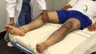 Examination Of The Motor System - Lower Limb