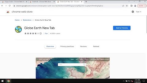 Globe Earth New Tab browser-hijacking extension removal.