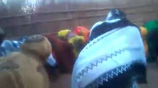 Dikri Macaan Xadro Sidan Loogu Dhufta Amee Kugu Danbaysay