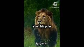 destiny deside our future part15#motivation#success#quote#trending#mindset#motivational#millionaire