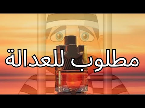 مراجعة كاملة لعطر ازارو ذا موست وانتد بارفام     