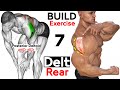 How To Grow Your Rear Delt (7 Key Exercises)