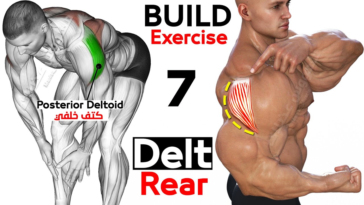Poor Rear Delts How To Grow Your Rear Delt (7 Key Exercises) - YouTube