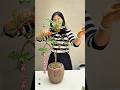 Dear plant lovers, do you prefer Chinese knots or the "Flowers and Full Moon" design?