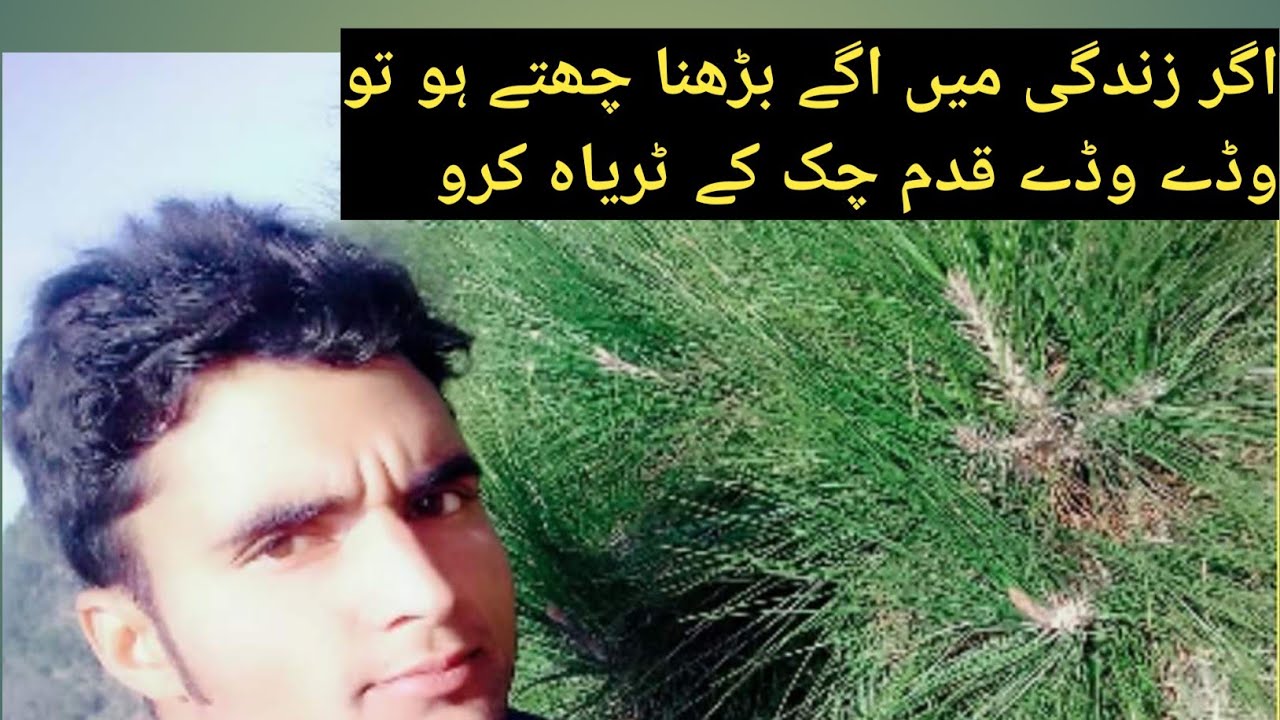 waseem-barelvi-jeshan-e-raktha-shayri-quote-poetry-youtube