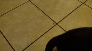 Kitty Mae p2