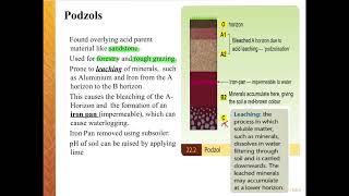 Podzol Soils