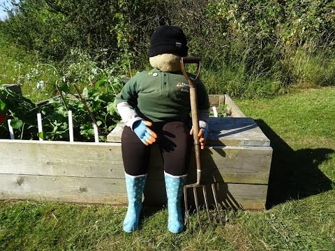 Video: Summer Solstice Gardening – Erster Tag des Sommer-Pflanzleitfadens