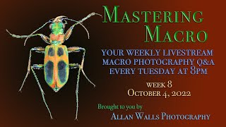 Mastering Macro Photography - Week 10 - 10/18/22