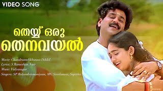 Theyy Oru Thenavayal | Chandranudikkunna Dikkil | Dileep | Kavya Madhavan | Vidyasagar