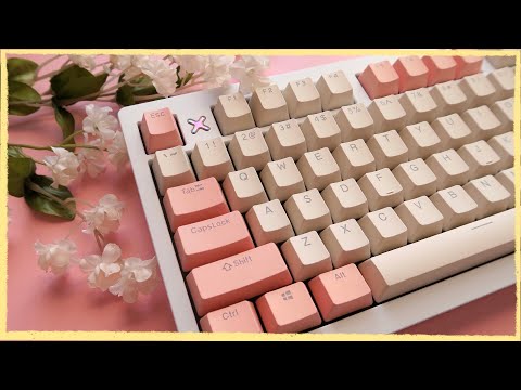 A Work Keyboard but Make It ✨ Pink ✨ Wind x98 Build and Review CoolRiceBunnies