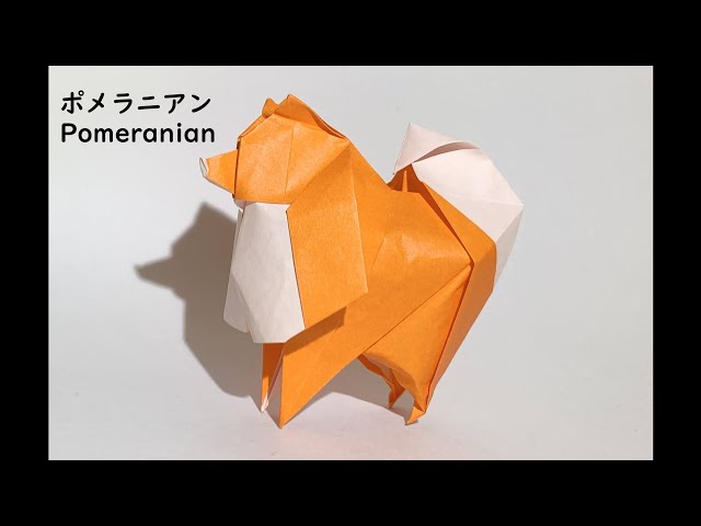 15cm折り紙1枚】ポメラニアン Origami Pomeranian - YouTube