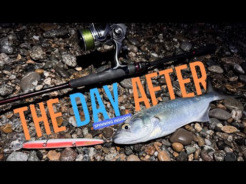 THE DAY AFTER - Spinning inshore LE CATTURE DEGLI ALTRI