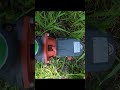 LEO 1HP Pump | 2 Inches delivery | High-speed #farming #electrical #pump #waterpump #water #ytshorts