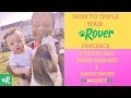 How to make Money as a Dog Sitter - Rover Tips & Tricks Make More money Dog-sitting