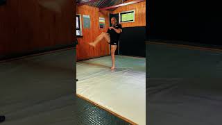 Jumping Teep #kravmaga #selfdefense #martialarts #combatives