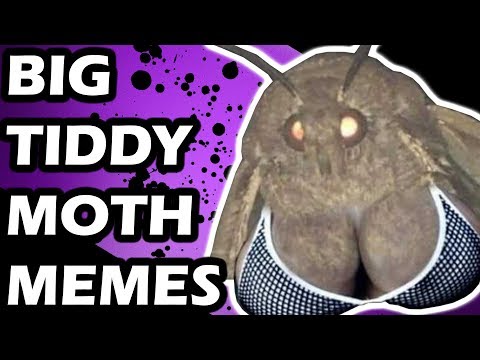 lamp-and-moth-memes!-(meme-review-#37)