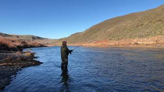 Continuous Motion, Out and Around, Ed Ward Style Skagit Casting