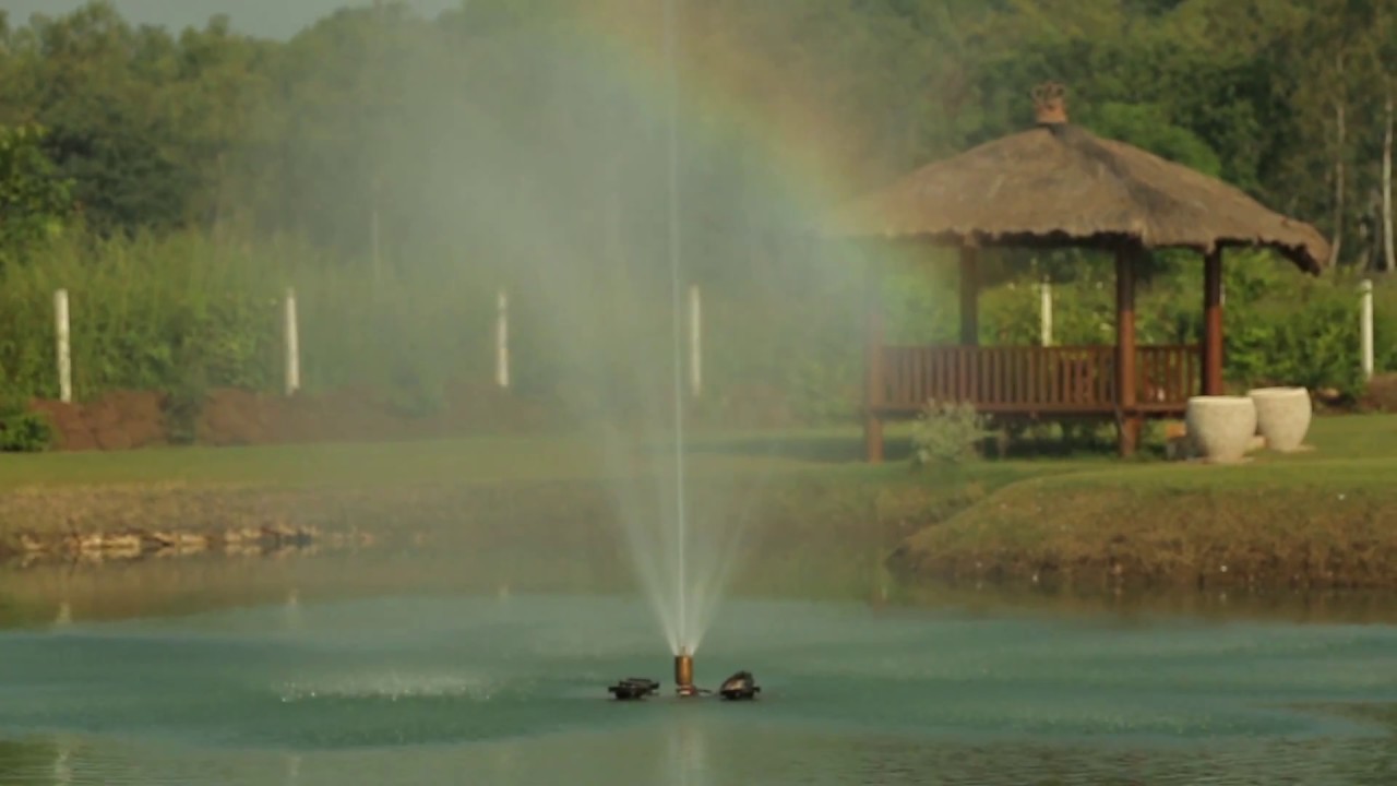 Lake Paradise Real Estate Corporate Video Dreamfoot YouTube