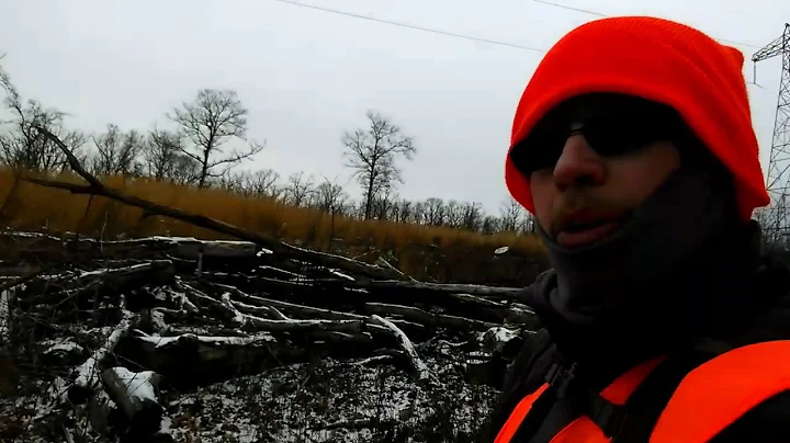 Winter Bushcraft: Small Game Hunting In The Snow (12ga Mossberg Shotgun)