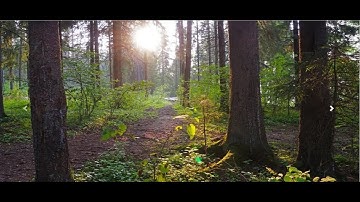 Dynamic Image Slider using Bootstrap |  Dynamic Bootstrap Carousel in PHP-117