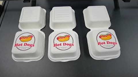 Single pass printing machine, color printing of disposable lunch box.