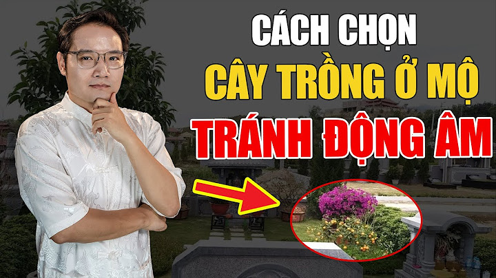 Cây bông thần dài mọc trên sông là cây gì năm 2024