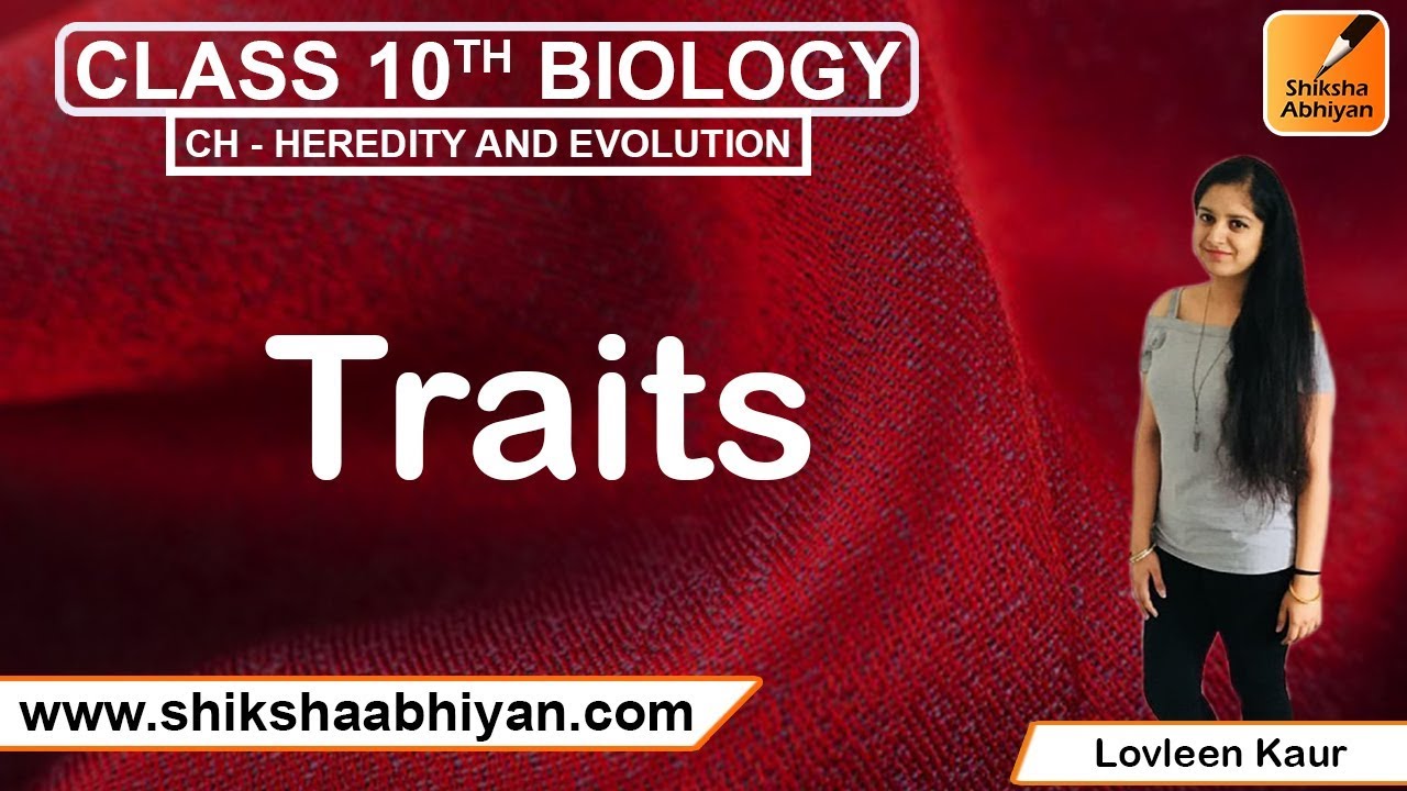 Traits - YouTube