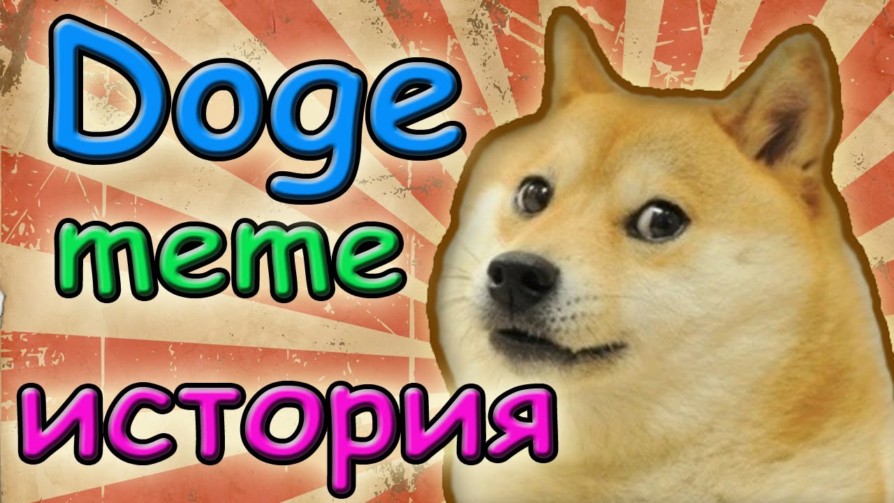 Откуда взялся мем собака с яблоком Откуда взялся мем собака с яблоком