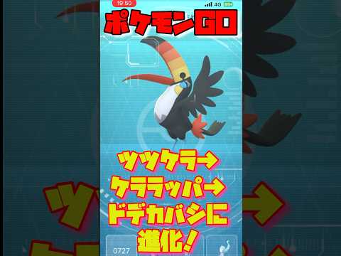 【ポケモンGO】ツツケラ→ケララッパ→ドデカバシに進化！#ポケモンGO