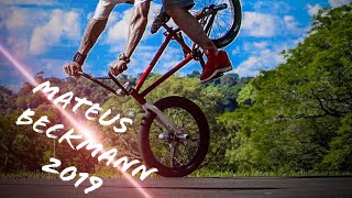 MATEUS BECKMANN 2019
