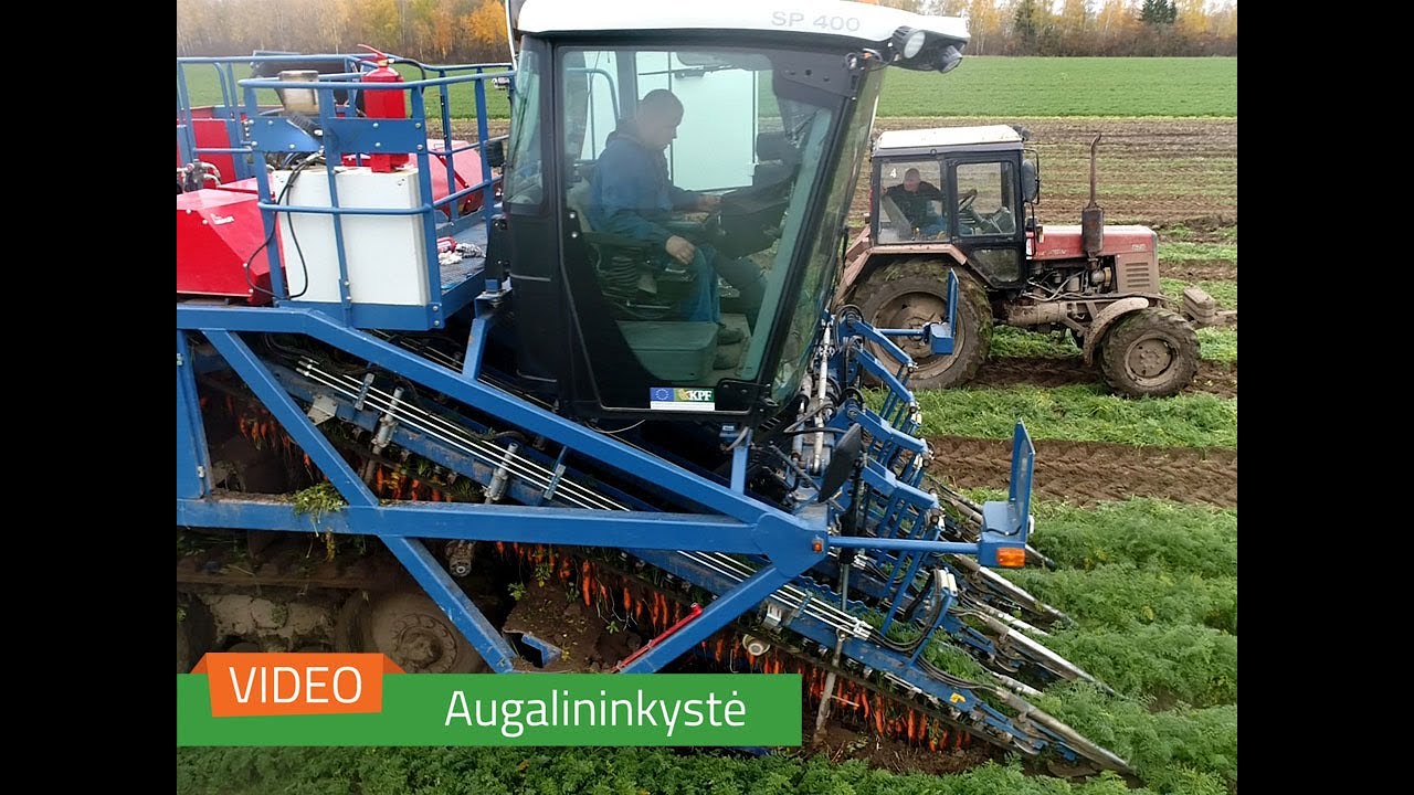 Moderniame daržininkystės ūkyje – darbymetis