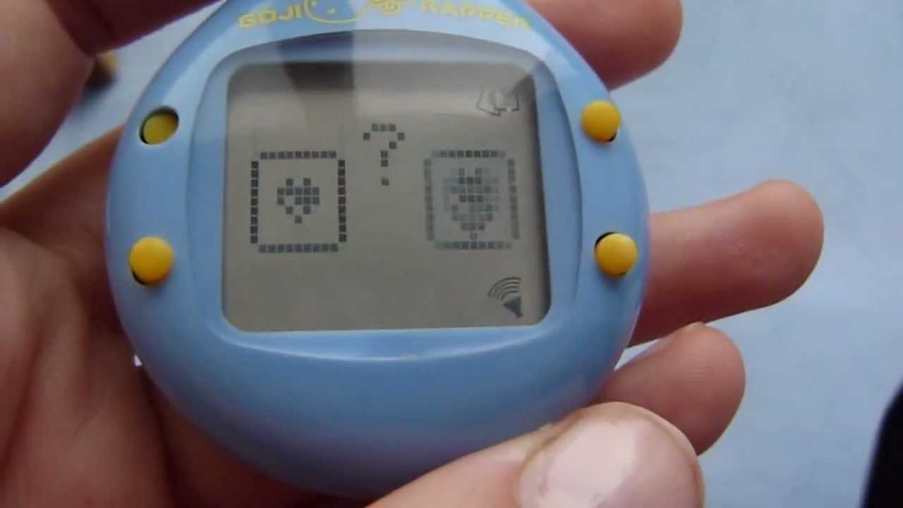 годжи раптор