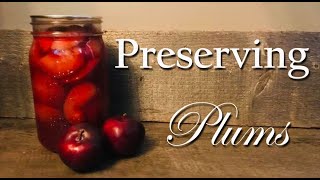 Canning Plums-Delicious Spiced Plum Recipe - Ankeny Hill Farm