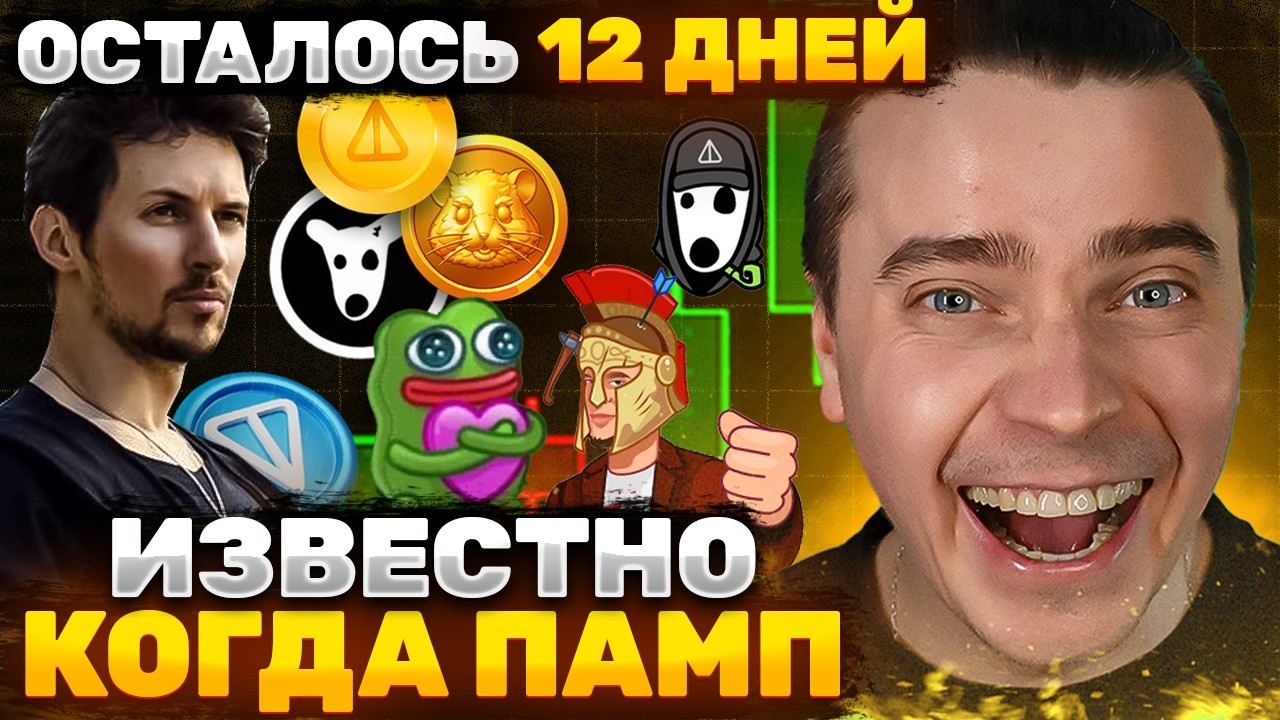 ⚠️СРОЧНО! ВСЕГО 12 ДНЕЙ! DOGS, NOTCOIN, TONCOIN, СТИКЕРЫ, ПОДАРКИ 🟢 ЗА ЭТИМИ ЦЕНАМИ ТОЛПА ЗАПЛАЧЕТ!