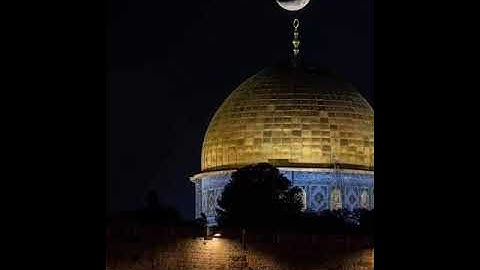 سورتي الفاتحة و الأنعام الآيات 12 : 33 الشيخ السعيد نوح