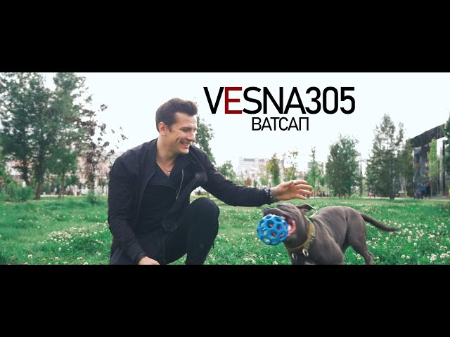 VESNA305 - ВАТСАП