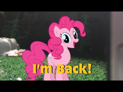 T&F/MLP Short 8: Reacting to T&TMR Part 3 (Dedicated to SuperDogLover1)