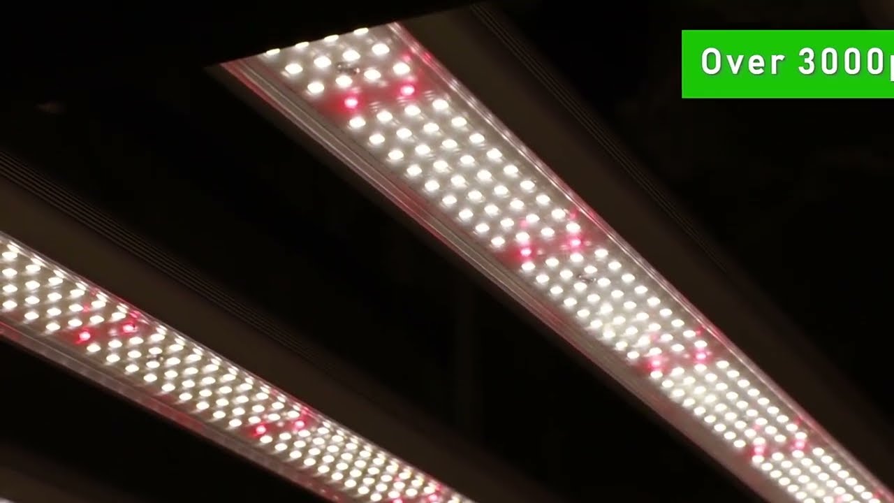 MF4 with 730nm FR red Grow Light