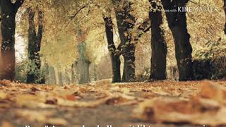 Kelimey-I Şehadet Nedir? Önemi Nedir? Neden Söylenir?