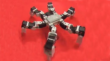 🤖 spider robot: crawling hexapod style  * creepy * 恐ろしいクモロボット、？ IMG *