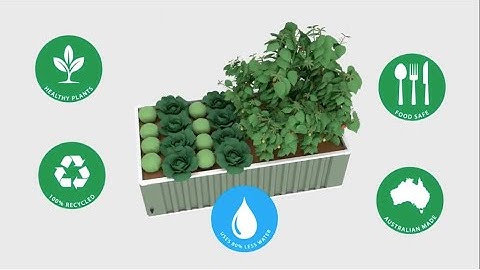 Introducing WaterUps Raised Garden Beds: Your personal Garden Oasis!