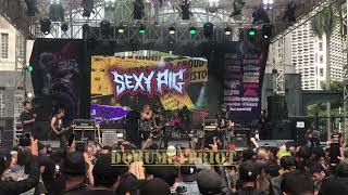 Sexy Pig Live at Kingkong Vol 3, Senayan Jakarta, #pakalolorecords #indonesianpunk