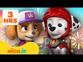Patrulha Canina 3 Horas Do NOVO Patrulha Canina Nick Jr Em Português 