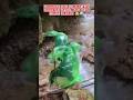 #videolucu SATU LANGKAH..NYUNGSEP